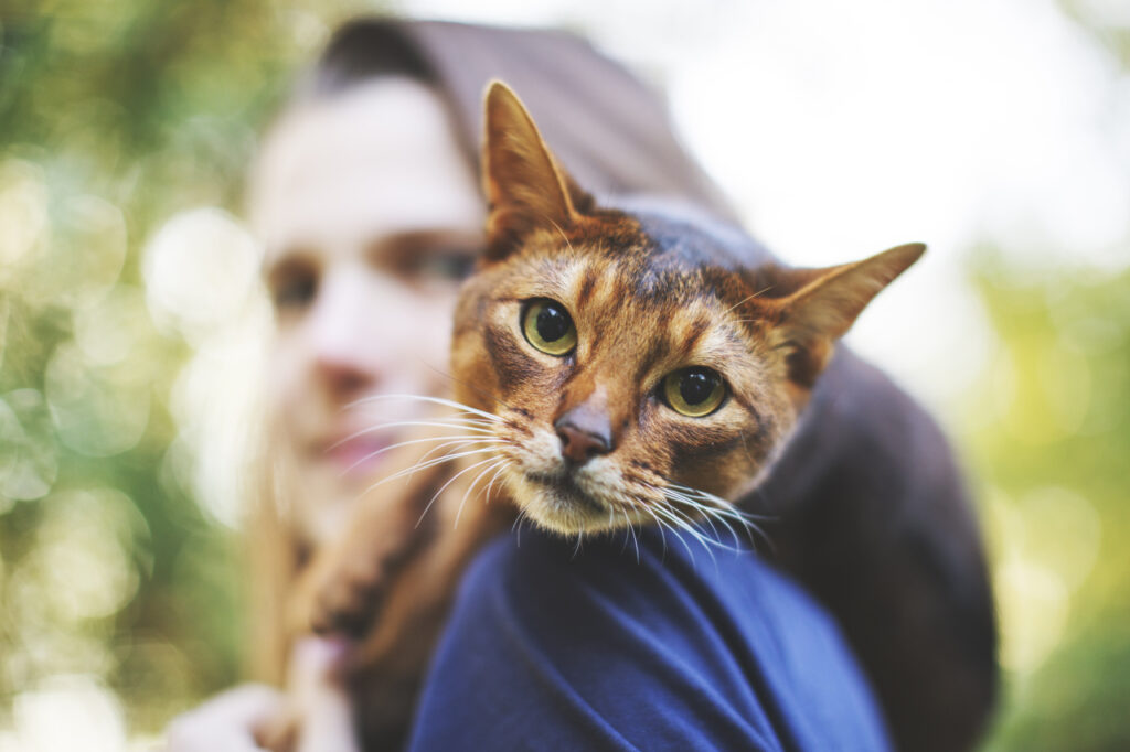 Une jeune femme jouant avec un chat