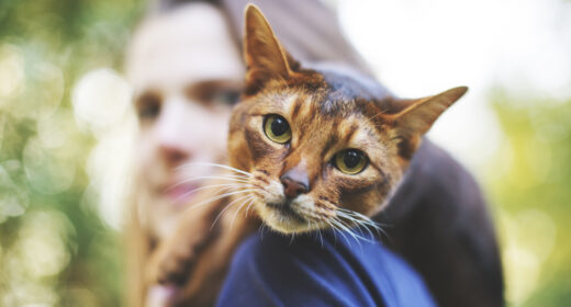 Une jeune femme jouant avec un chat
